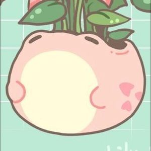 Meet your Posher, Danica